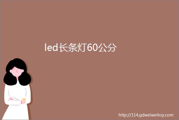 led长条灯60公分