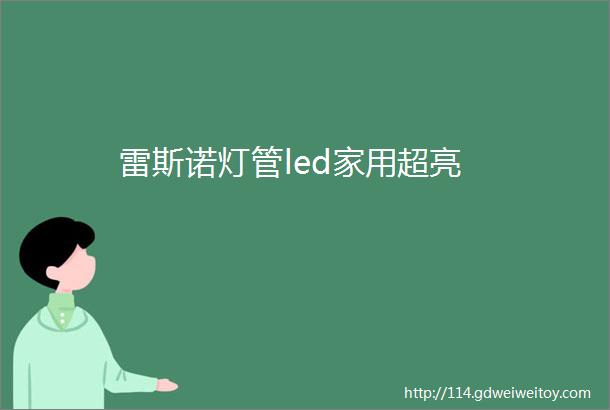 雷斯诺灯管led家用超亮