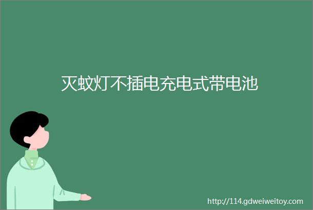 灭蚊灯不插电充电式带电池