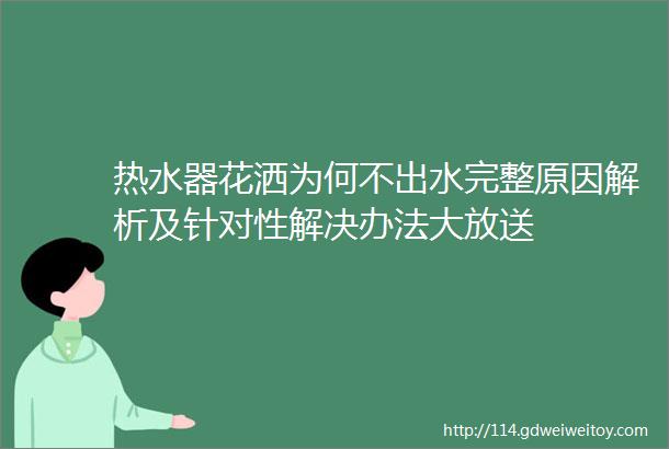 热水器花洒为何不出水完整原因解析及针对性解决办法大放送